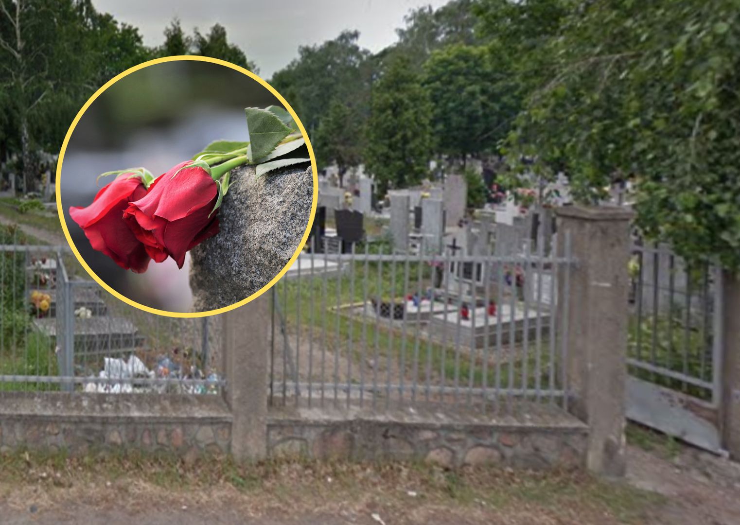 Odkryli, kto kradnie pąki kwiatów z bydgoskiego cmentarza