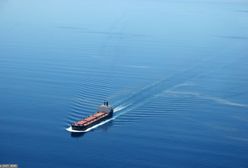 20 000 ton wybuchowej saletry na pokładzie. Rosja testuje NATO?