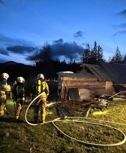 Pożar w Dolinie Chochołowskiej. Wszyscy mówią o tym, co zrobiła góralka