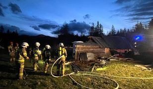 Pożar w Dolinie Chochołowskiej. Wszyscy mówią o tym, co zrobiła góralka