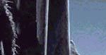 Nowe postaci w Harrym Potterze