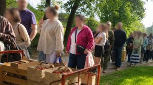 Kolejki od samego rana. Truskawki "prosto z pola". Cena może zdziwić