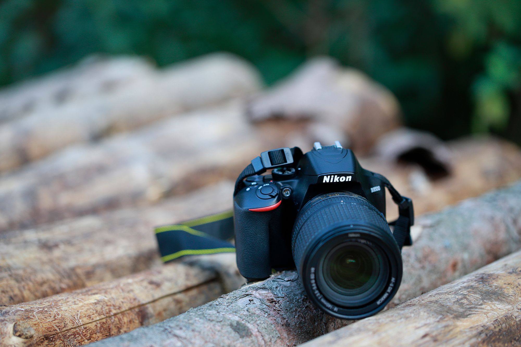 Nikon D3500 pomoże ci uchwycić najważniejsze momenty w życiu [test] 1