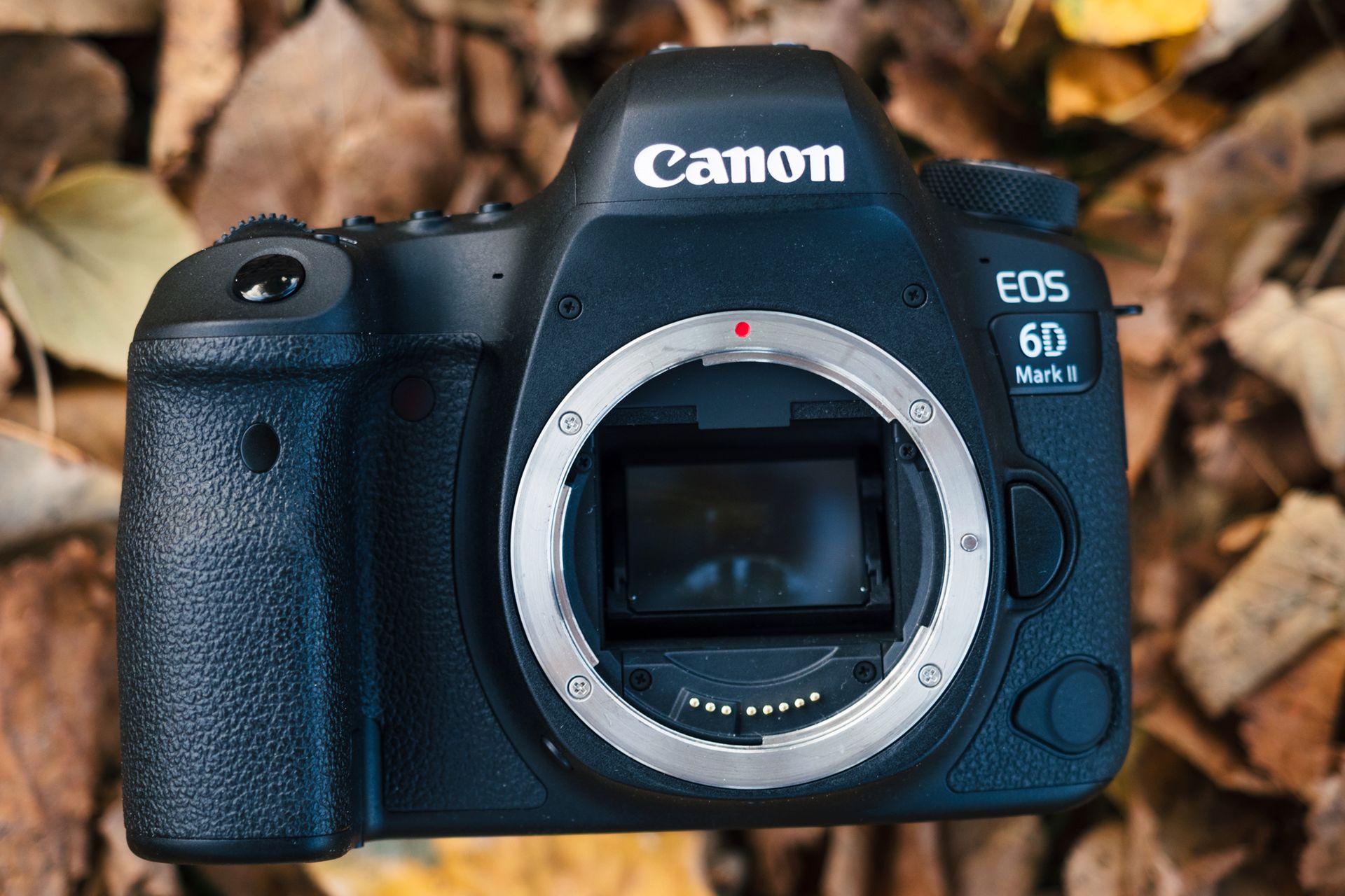 Canon EOS 6D Mark II - test następcy popopularnej pełnoklatkowej lustrzanki 46