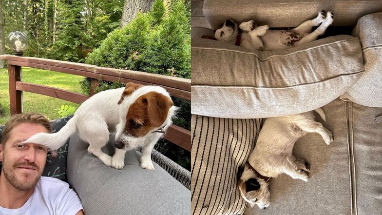 Dom Damiana Michałowskiego