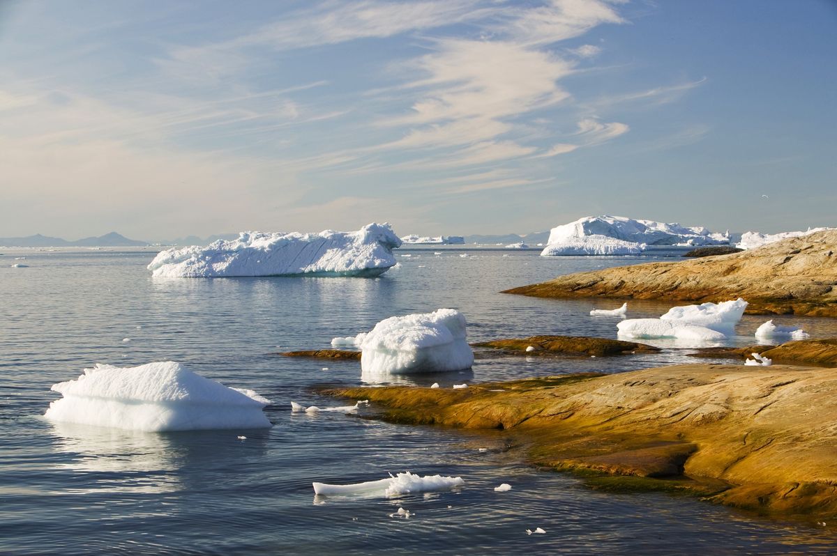 Znaleziska dokonano na terenie najbardziej wysuniętej na północ części Grenlandii