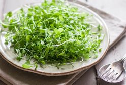 Mini zielenina - nowy zdrowy trend na naszych talerzach