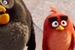 ''Angry Birds'' z rekordem oglądalności w polskich kinach