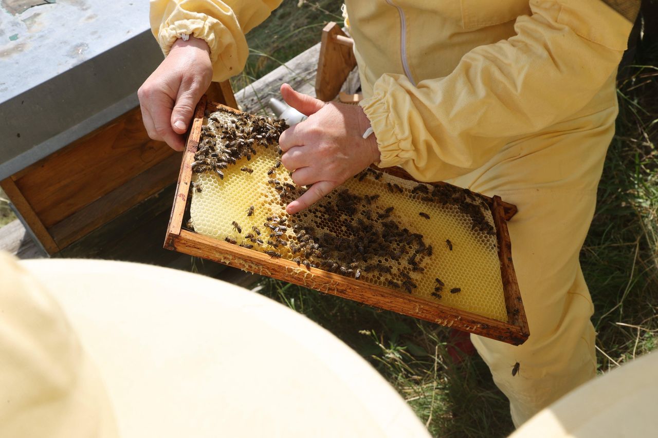 Skończy się podrabianie. Od 1 kwietnia duże zmiany na etykietach