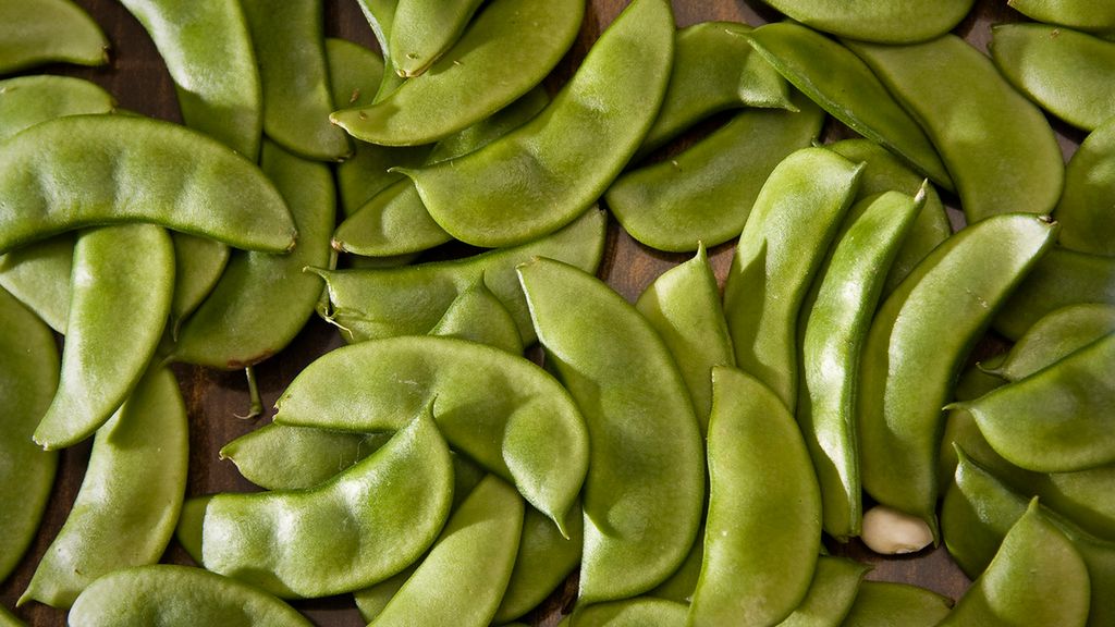 Surowa fasola limeńska baby
