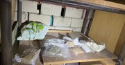 Warszawa: Policyjny nalot na Woli. Ponad 1,5 kg narkotyków w piwnicy