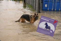 Tak można uratować przed powodzią zwierzęta. Wzruszająca akcja