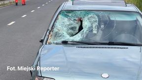 Są w drodze do Monte Cassino, usłyszeli o tragedii. "Brak słów"