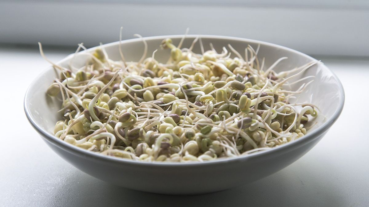 Surowa złota fasola