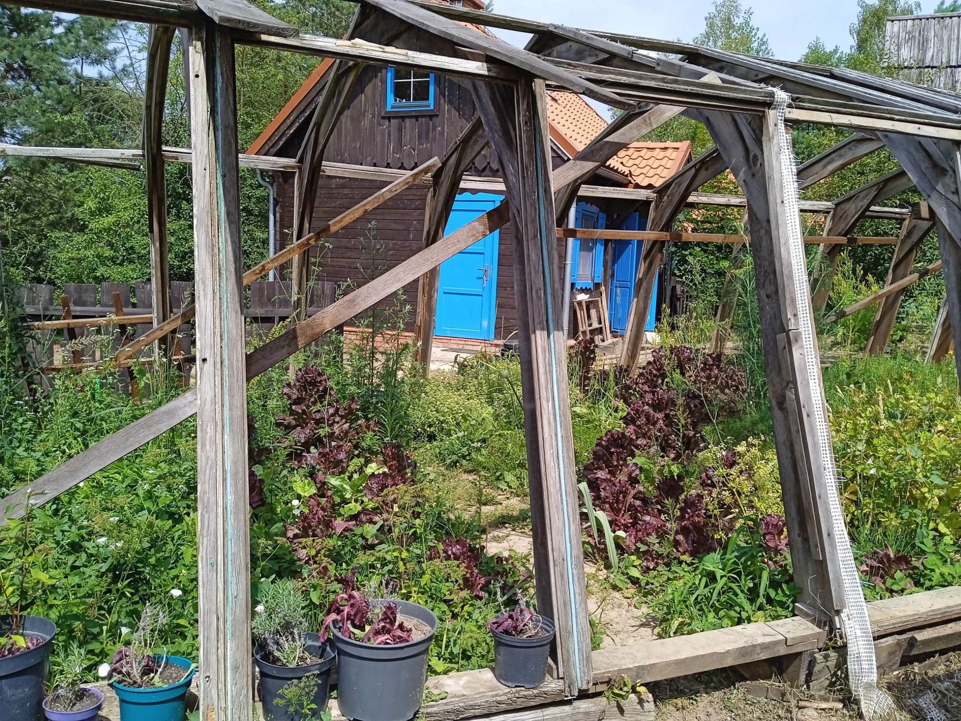 Na ternie Lawendowego Pola działa także agroturystyka - można tu zostac na noc