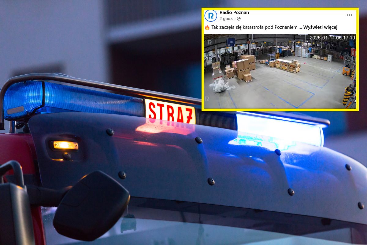 Jedna przesyłka z Niemiec. Tak zaczął się pożar hali pod Poznaniem