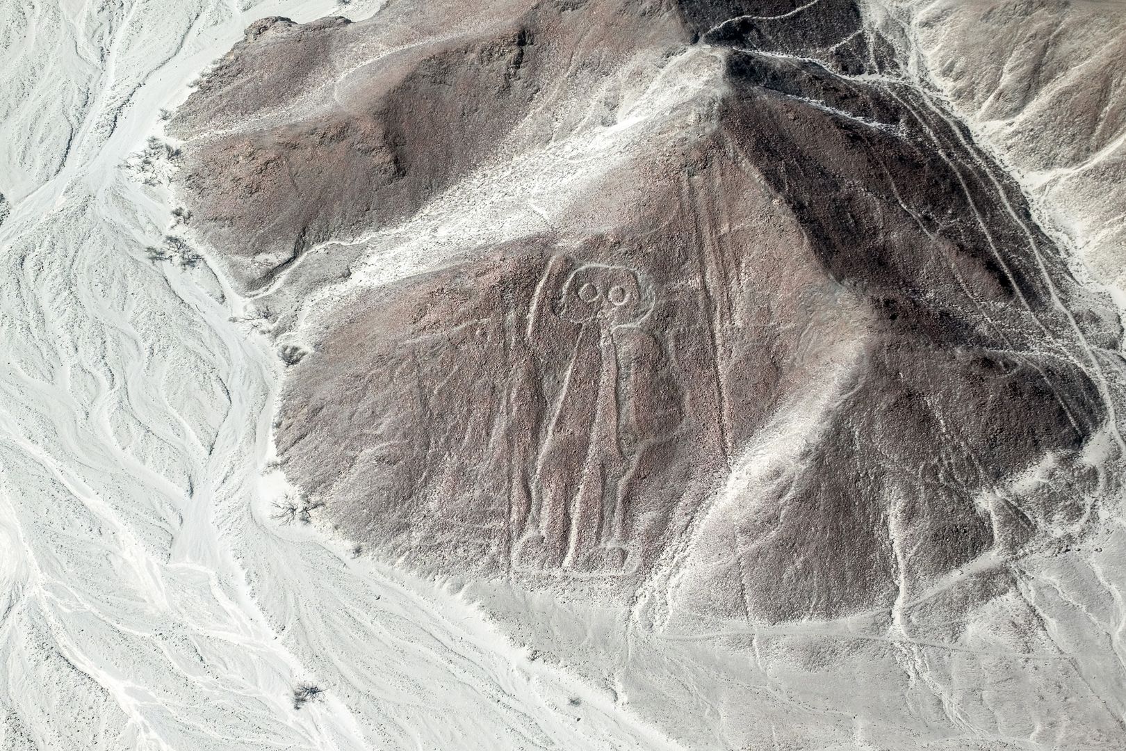 Jeden z rysunków w dolinie Nazca