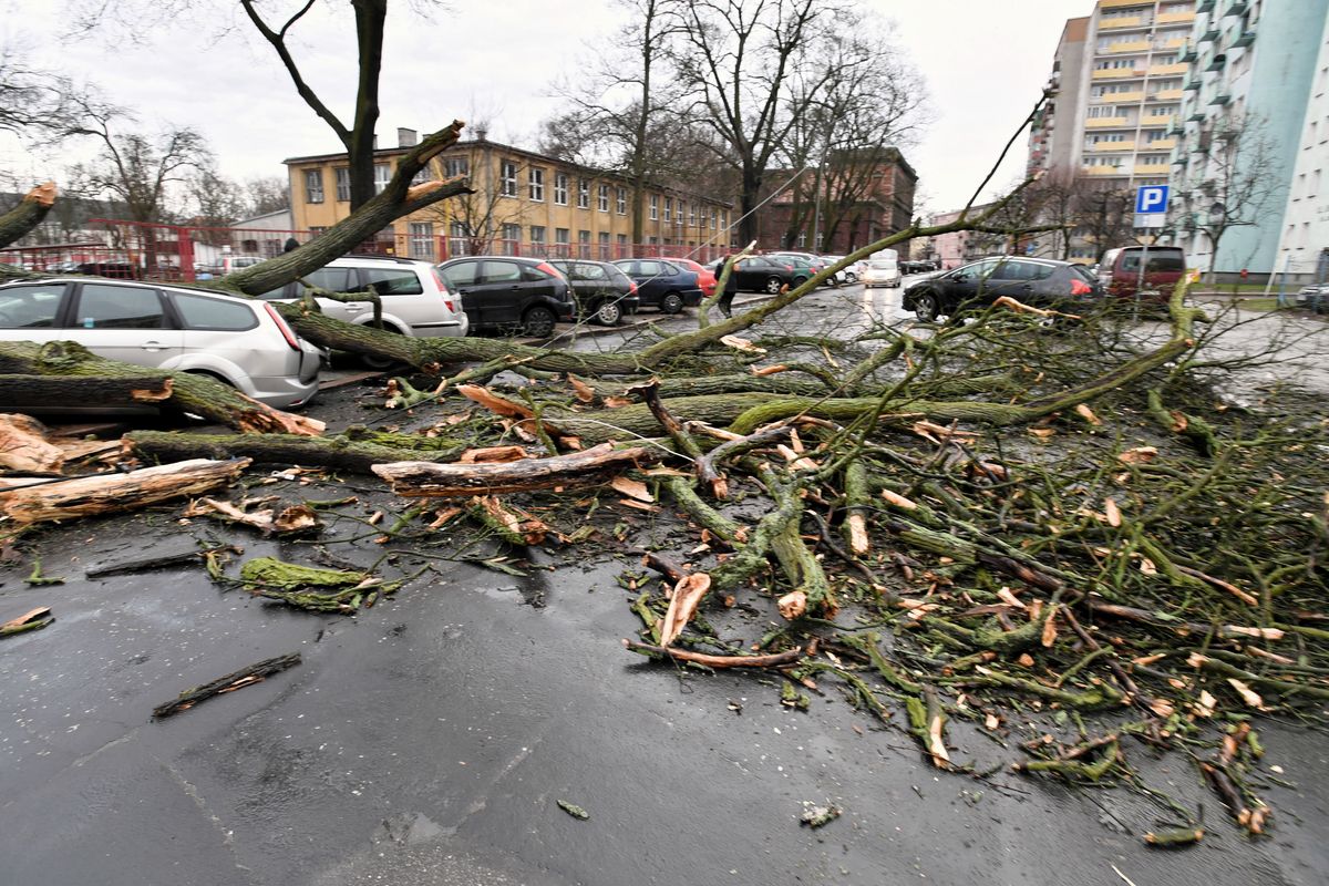 Drzewo runęło na autobus. Silne wiatry w całej Polsce