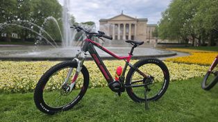 E-bike dla nastolatka? Elektryczne rowery mogą być sposobem na aktywność i większą samodzielność