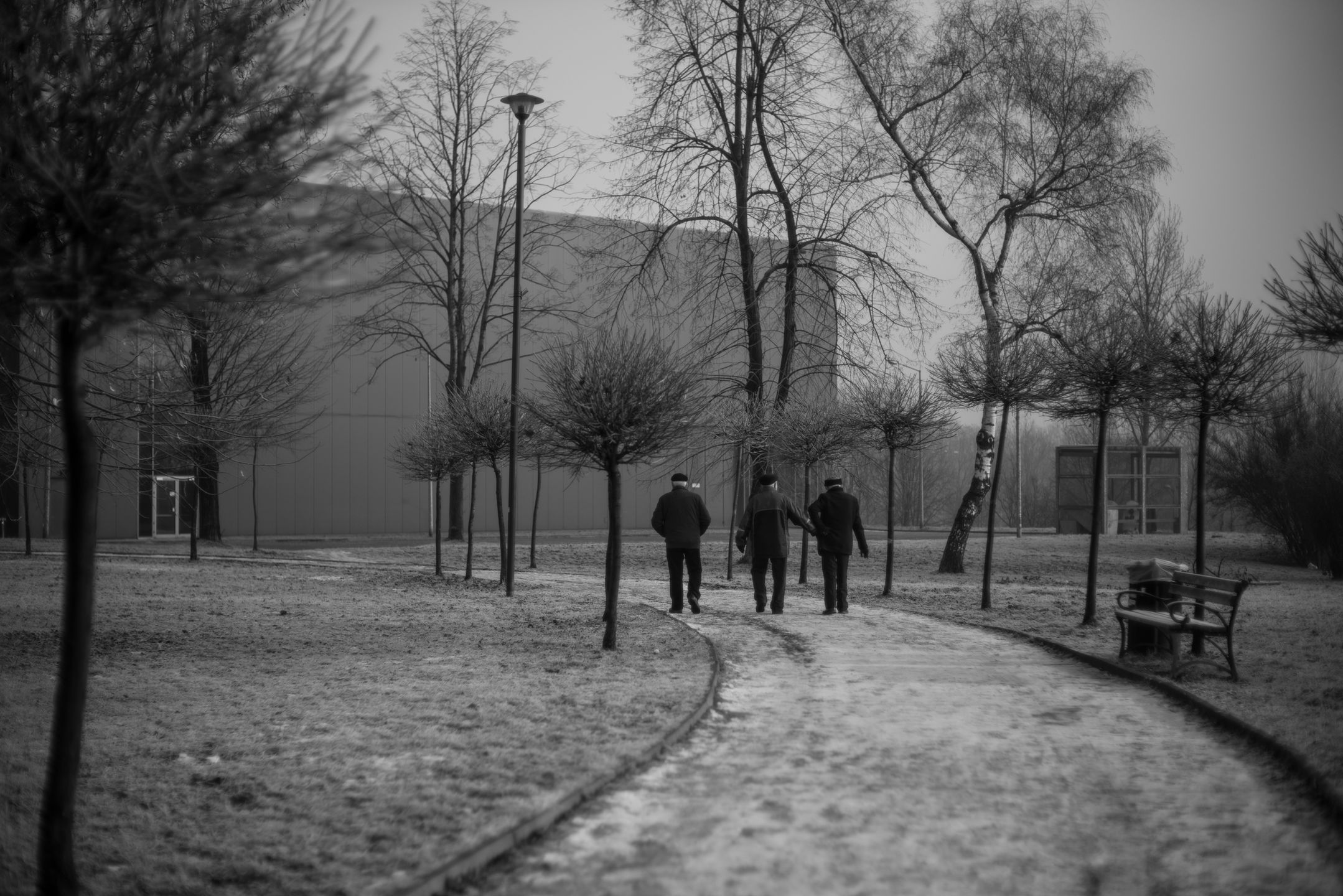 Voigtländer VM 50 mm f/1.1 Nokton - bardzo jasna pięćdziesiątka, która kreuje własną rzeczywistość [test] 36