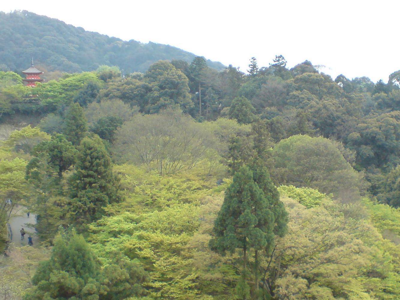 Xperia Z1 Compact vs stare sony ericssony - zaskakujące wyniki fotoporównania 13