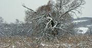 Na połoninach cieplej