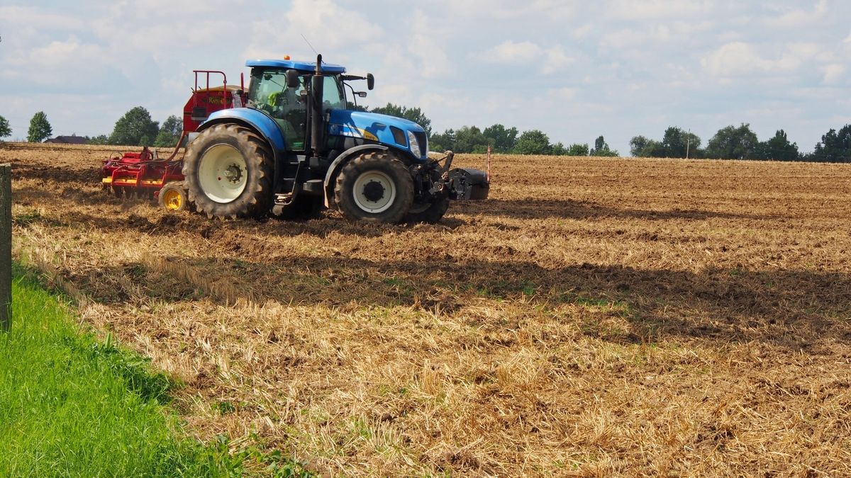 Faktura RR spisywana jest w przypadku nabycia towarów od rolnika ryczałtowego