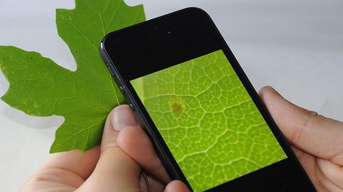 Micro Phone Lens 150x. Smartfon jak mikroskop?! 1