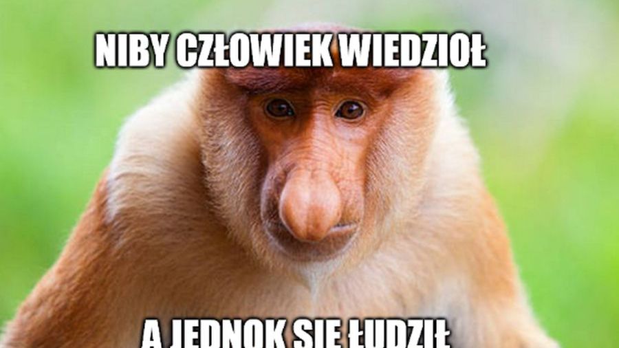 Zdjęcie okładkowe artykułu: 