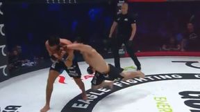 O tym mówi cały świat MMA. Nieprawdopodobny nokaut w Rosji [WIDEO]