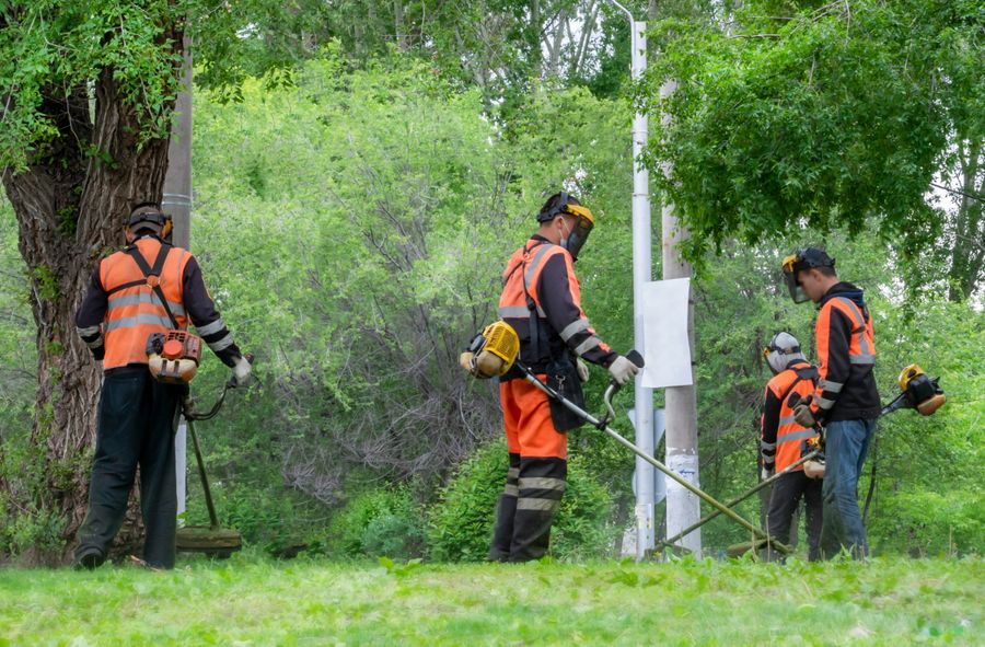 Ekolog przestrzega przed koszeniem trawy w kwietniu