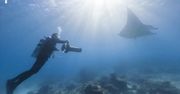 Wielki Błękit. Zobacz Wielką Rafę Koralową z Google Street View