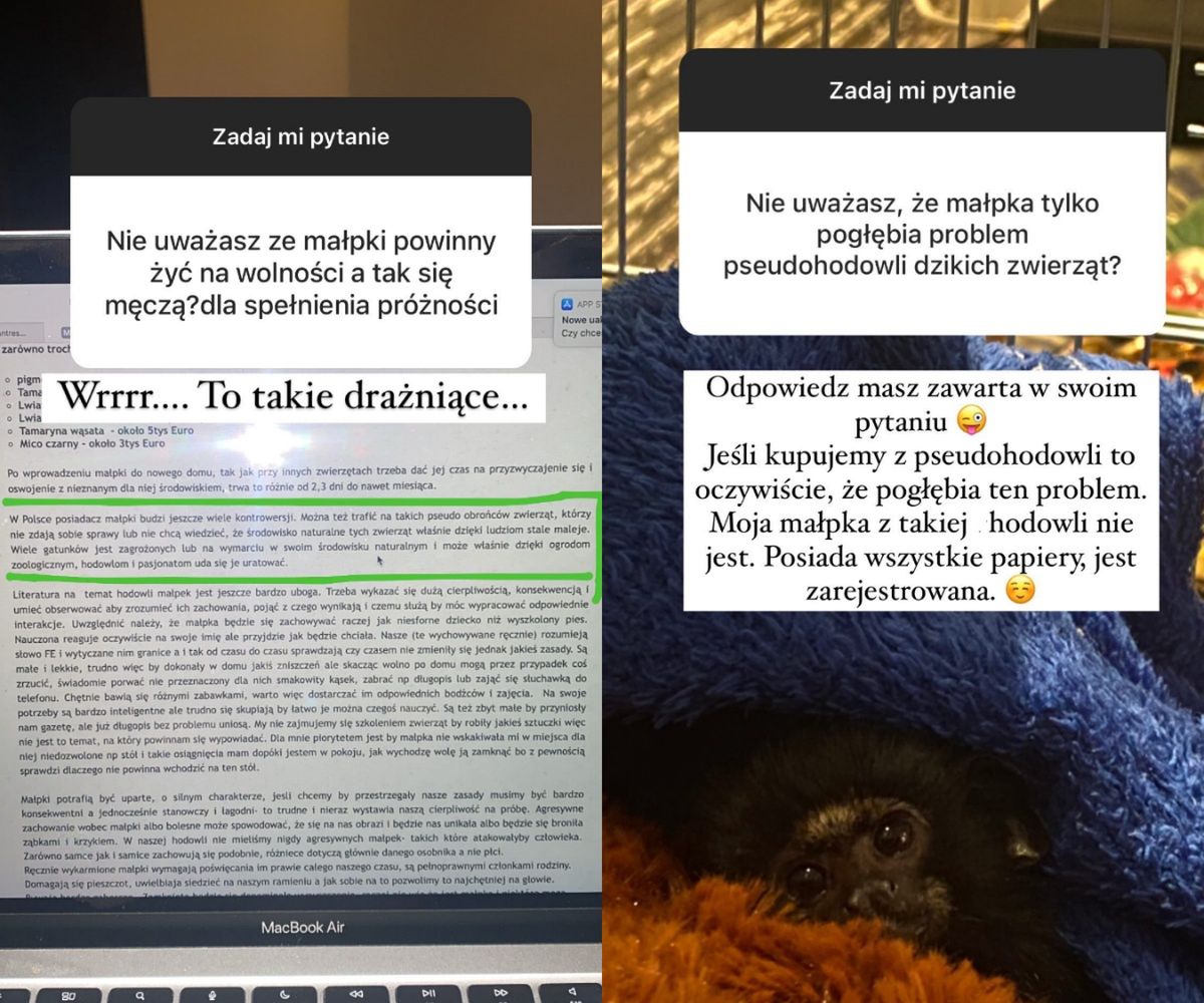 Ewel0na odpowiada na pytania fanów