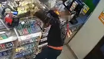 Atak furii w Żabce. Wideo z Bystrzycy Kłodzkiej
