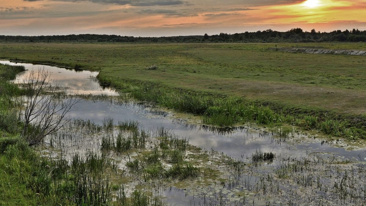 Badania prowadzono w rzece Prypeć.