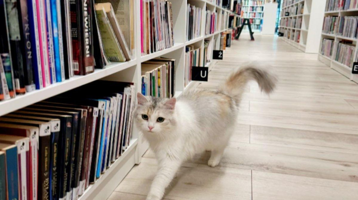 Warszawa: Czy powstanie druga biblioteka na Chrzanowie?