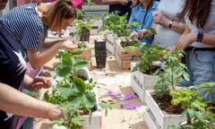 Stolica stawia na naturę. Ratusz organizuje konkurs "Warszawa w kwiatach i zieleni"