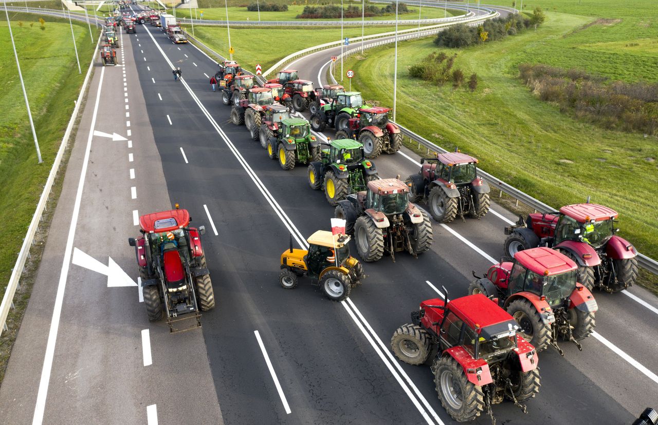 Rolnicy przygotowują traktory na protest. "Świnie się kiszą"