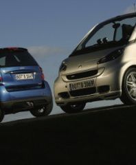 Szerszeń wagi muszej!