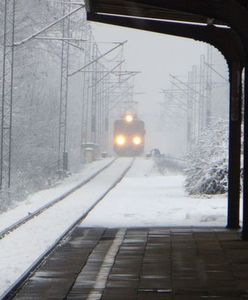 71 proc. badanych negatywnie postrzega pracę PKP