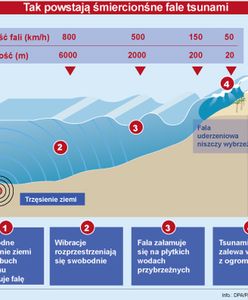 Tsunami porwało statek - na pokładzie jest sto osób