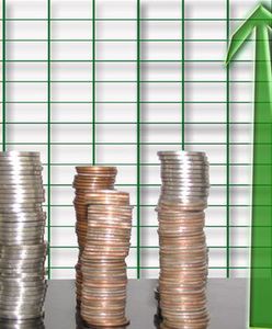 Chcą żeby płaca minimalna wynosiła 50 proc. przeciętnego wynagrodzenia