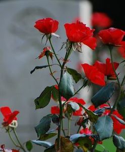 "Zaplanuj sobie pogrzeb" - nietypowy pomysł na biznes