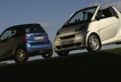 Szerszeń wagi muszej!