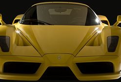 Żółta bestia - edo Enzo