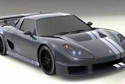 Amerykanin wagi piórkowej - Rossion Q1