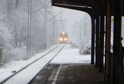 71 proc. badanych negatywnie postrzega pracę PKP