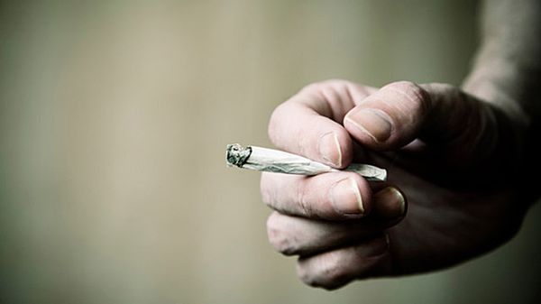 Brytyjczycy chodzą do pracy "na haju"