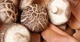 Grzyby shiitake wzmacniają odporność