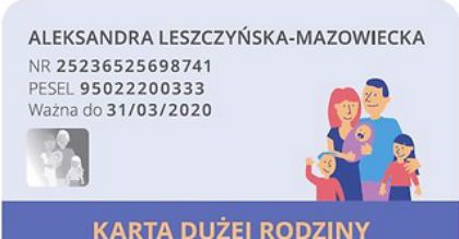 Od stycznia zniżki na przejazdy kolejowe dla rodzin wielodzietnych. Rząd przyjął ustawę